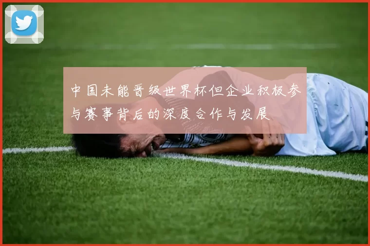 中国未能晋级世界杯但企业积极参与赛事背后的深度合作与发展